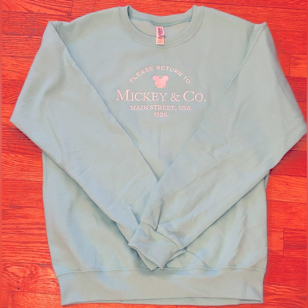Super cute Disney sweatshirt. 100% unworn. Ordered wrong size. Couldn’t return.